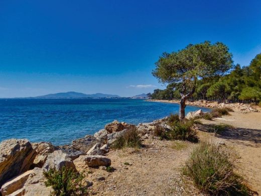 Séjour en Camping près de l’Île de Porquerolles