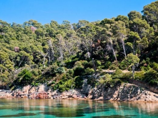 Séjour en Camping près de la presqu’île de Giens