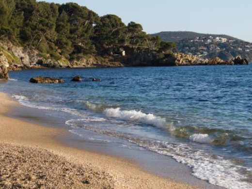 Séjour en Camping près de la presqu’île de Giens
