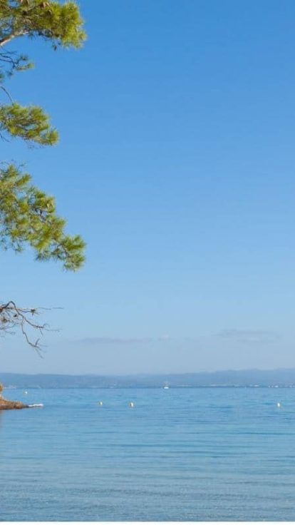 Découvrir le Var : votre séjour entre mer et nature au Pradet