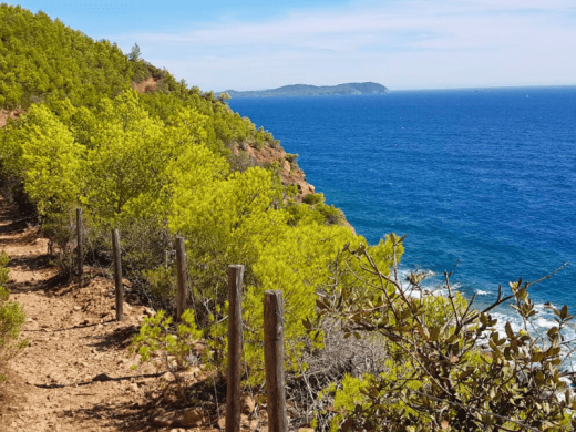 Découvrir le Var : votre séjour entre mer et nature au Pradet