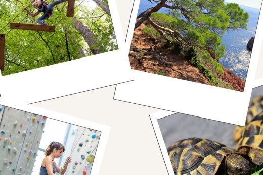 Quelques idées d’activités à faire en famille pendant les vacances